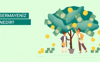 SERMAYENİZ NEDİR?